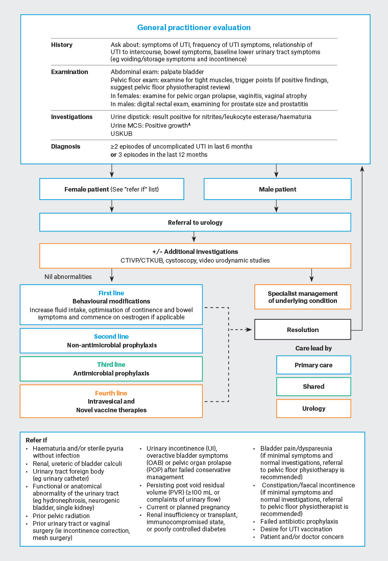 Diagnostic and management algorithm for recurrent urinary tract infections