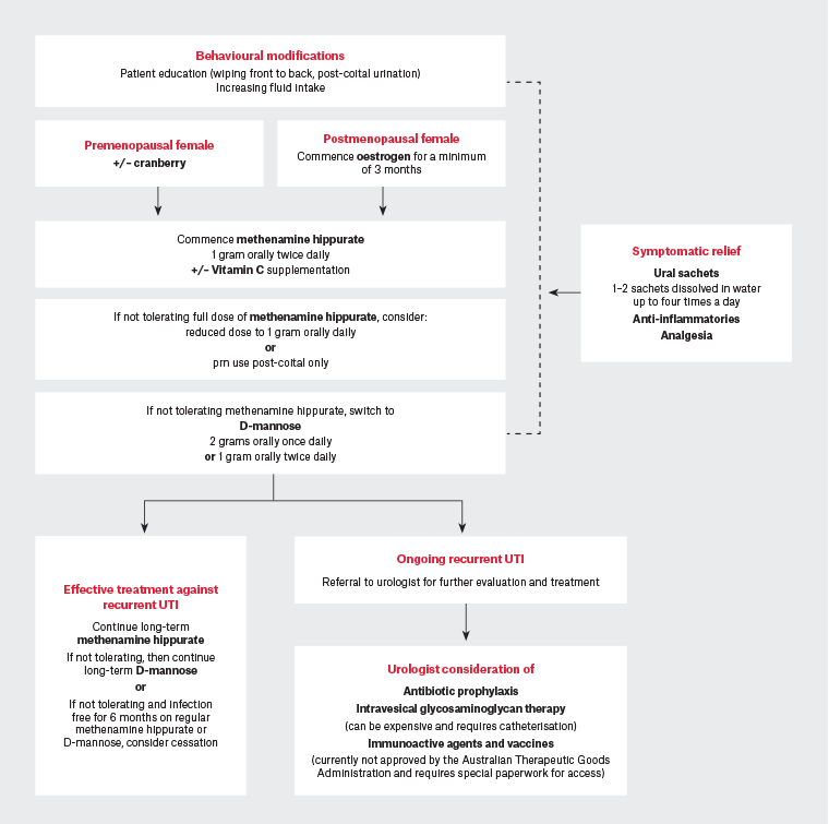 Suggested management algorithm for recurrent urinary tracts (rUTIs)