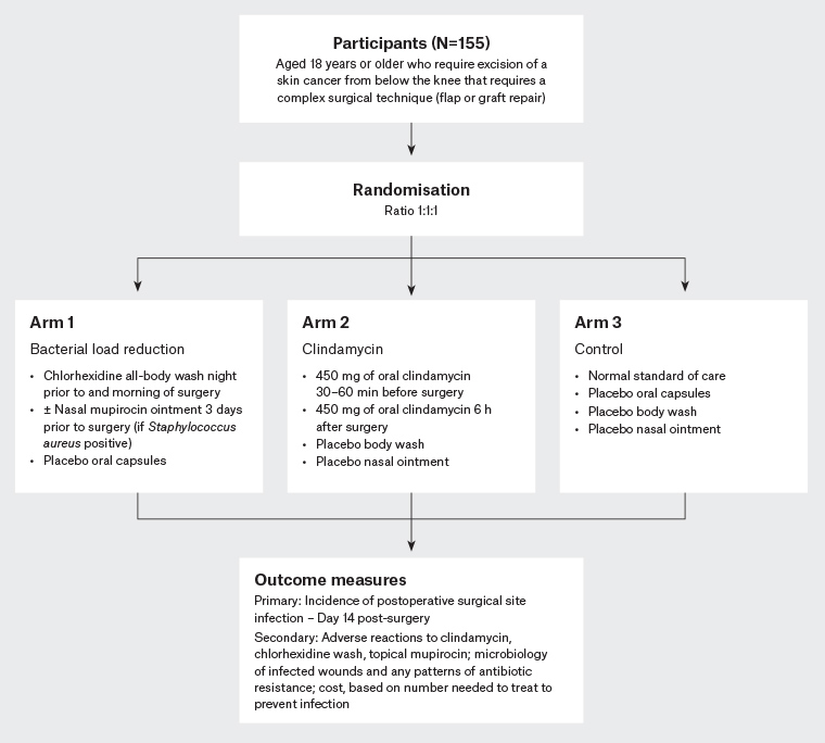 Figure 1. Protocol plan for the randomised double-blinded placebo-controlled trial.