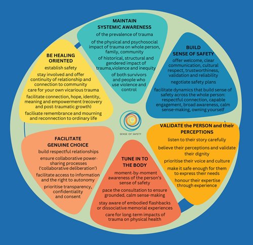 Figure 2. Overarching principles for integrating understanding of and care for trauma into everyday practice.
