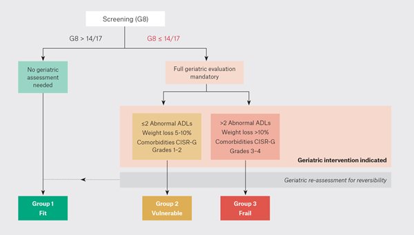 Figure 1. Decision tree for health screening status for men aged >70 years.