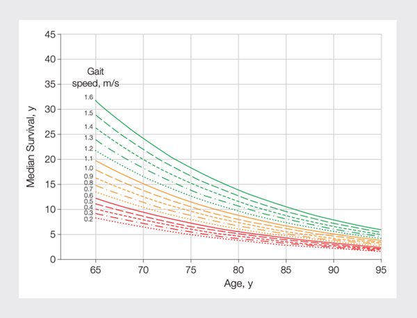 Figure 2. Predicted median life expectancy by age and gait speed for men.9