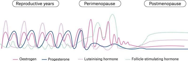 Figure 1. Schematic of gonadal hormone fluctuations in mid to later life in women.