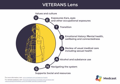 Figure 1. The VETERANS lens.1 Reproduced with permission from Medcast.