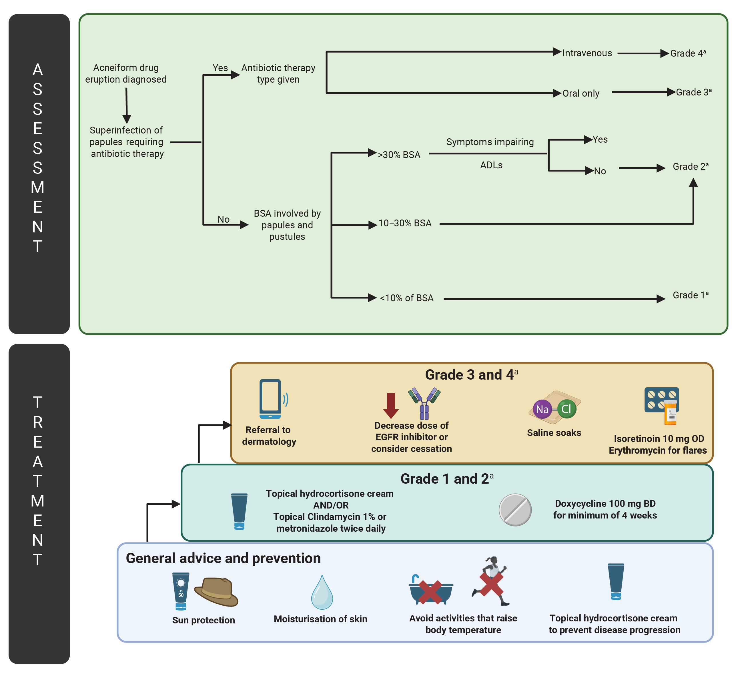 12_7665-Fig-2-New-file_cx-RGB.jpg