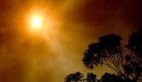 Health risks from high levels of air pollutants are among the many flow-on effects of bushfires. (Image: AAP)