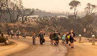 Bushfire evacuees