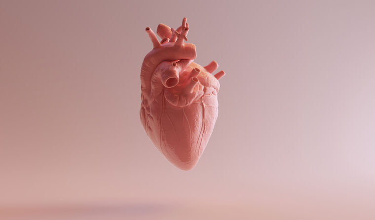 A heart. 