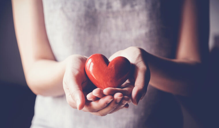 Women's hands holding a red heart.