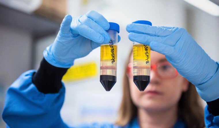 Lab technician comparing two vials