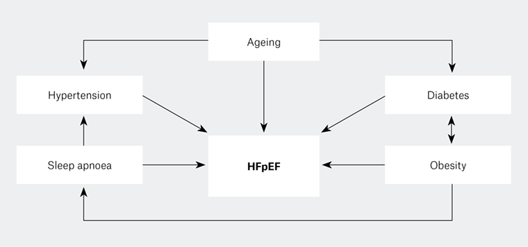AJGP-07-2019-Clinical-Naing-HFpEF-WEB-Fig1.png