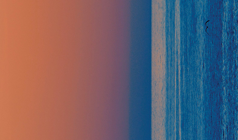 ArticleImage 