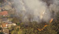 Bushfire near houses. 