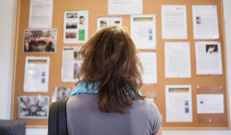 Woman looking at public noticeboard