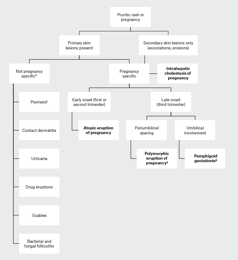 Figure 1. A diagnostic framework to approaching rash and pruritus in pregnancy