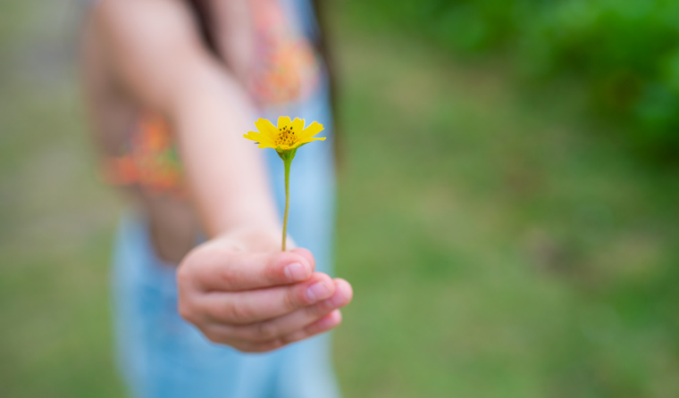 Child offering a flower