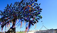 A tree sculpture was constructed outside of Parliament House as a memorial to victims and survivors of institutional child sexual abuse. (Image: Lukas Coch)