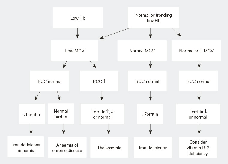 Anemia Diagnosis Chart