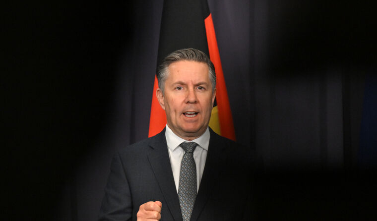 Health Minister Mark Butler at press conference