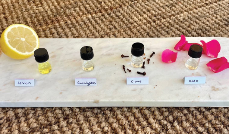 Figure 1. Familiar scents: lemon, eucalyptus, clove and rose