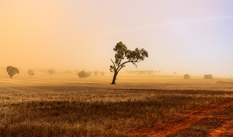 NSW dust storm