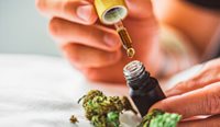 Cannabis oil