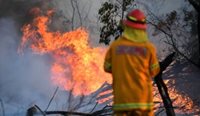 Firefighter bushfire