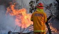 A firefighter battles the blaze near Glen Innes, where conditions have been described as ‘apocalyptic’. Credit: AAP