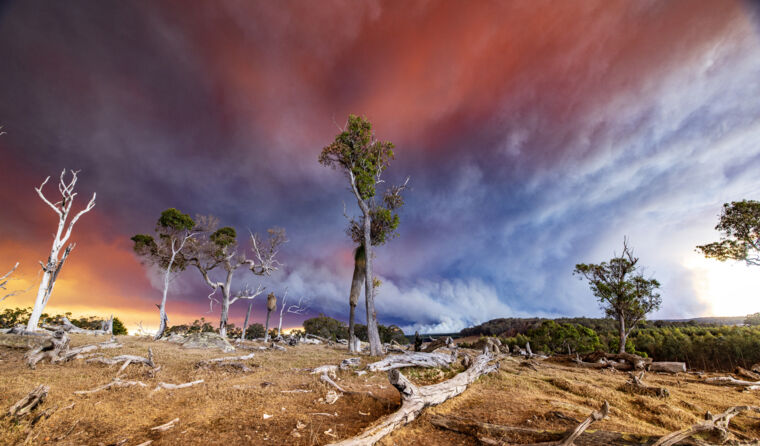 A bushfire landscape.