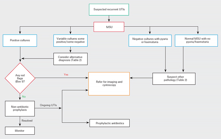 Figure 1. Management pathway in women with recurrent cystitis
