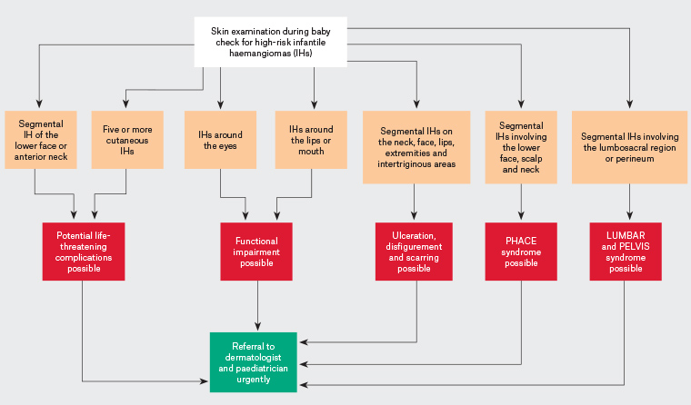 Figure 5. Flow diagram for the assessment and referral of high-risk infantile haemangiomas