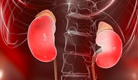 The AIHW report supports findings of a stable prevalence rate of chronic kidney disease, with an increase of the number of people in its advanced stages.