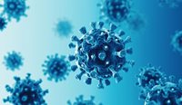  The SARS-CoV-2 coronavirus continues to surprise researchers.