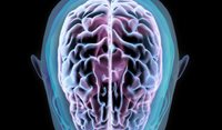 A summary of the first Australian and Aotearoa New Zealand Clinical Practice Guideline for the management of mild traumatic brain injury/concussion and persisting post-concussion symptoms