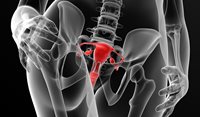 Premature ovarian insufficiency diagnosis and management in general practice: A review based on the 2024 international guideline