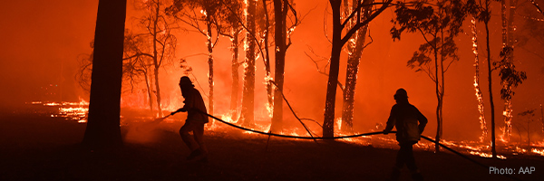 photo: Bushfire